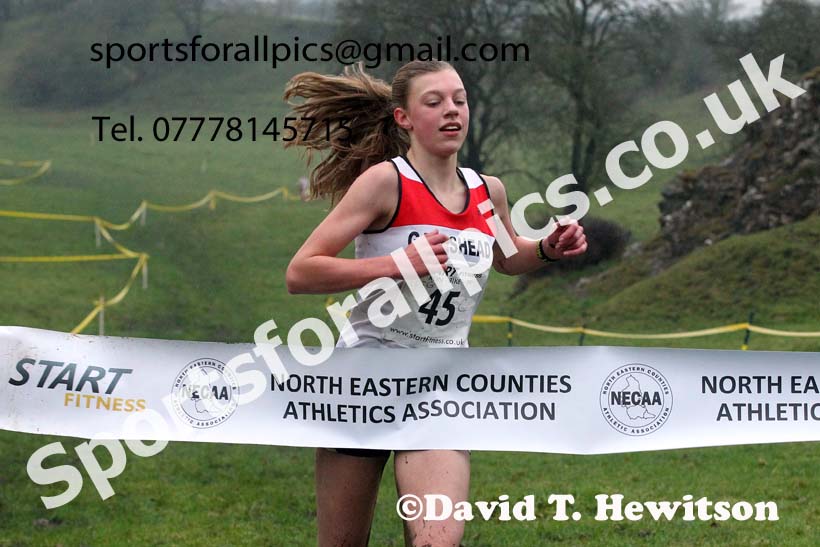 Girls under-15s, NECAA Junior Cross Country Relays, Thornley Farm, Peterlee, Saturday, December 12th. Photo: David T. Hewitson/Sports for All Pics